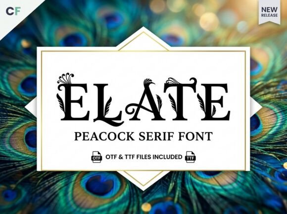 Elate: A Premium Display Font for Scroll-Stopping Brand Moments